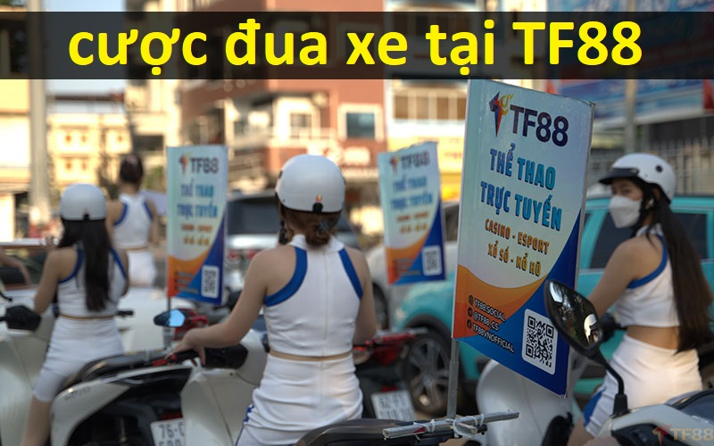 Tổng quan về cược đua xe tại TF88